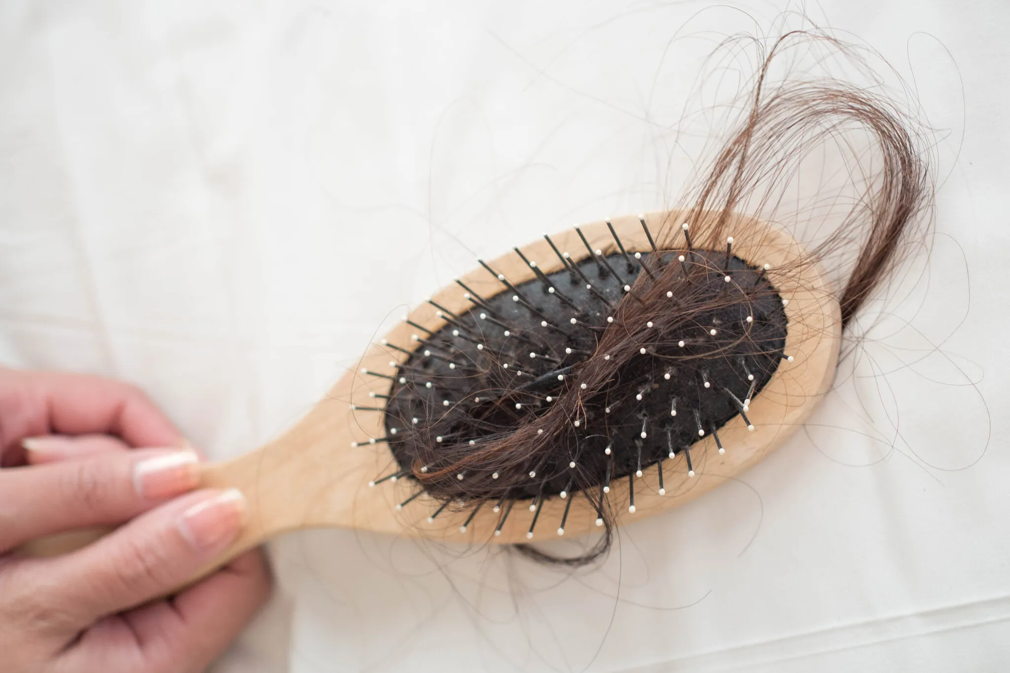 Rambut Rontok Parah? Kekurangan Nutrisi Bisa Jadi Penyebabnya