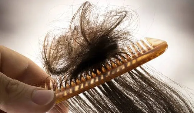 Rambut Kusut Menggumpal? Ini Panduan Darurat untuk Mengatasinya!