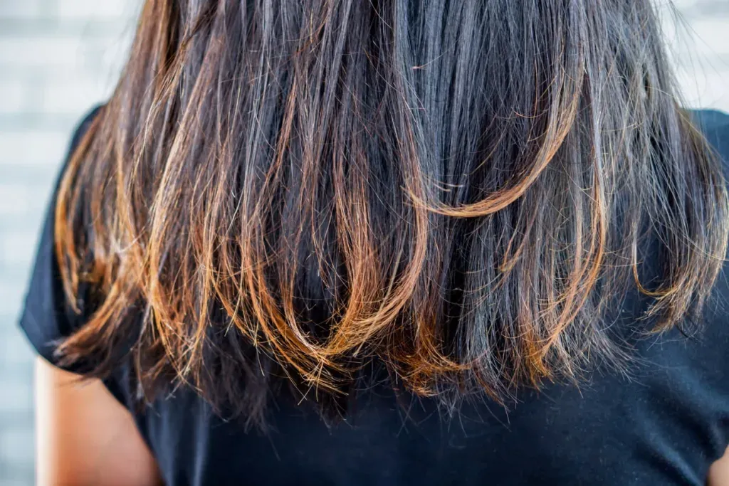 Rambut Kering & Rontok Makin Parah? Ini Cara Mengatasinya dari Akar