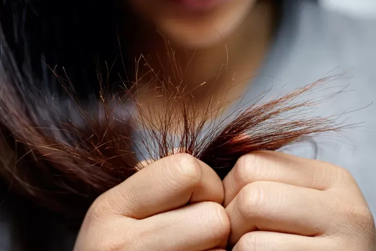 Bagaimana Cara Menghilangkan Rambut Bercabang Tanpa Dipotong?