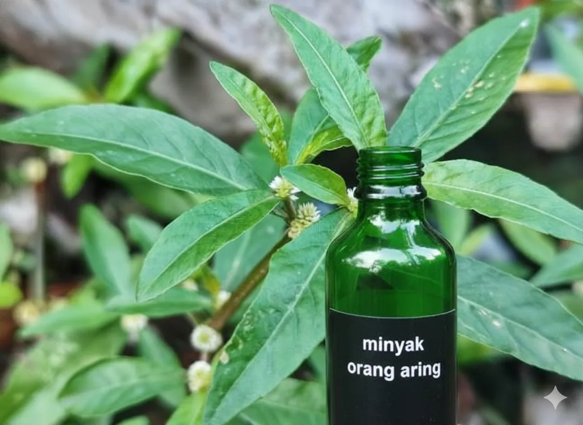 Perawatan Rambut Terbaik: Bukti Orang Aring Adalah Herbal Andalan di Indonesia