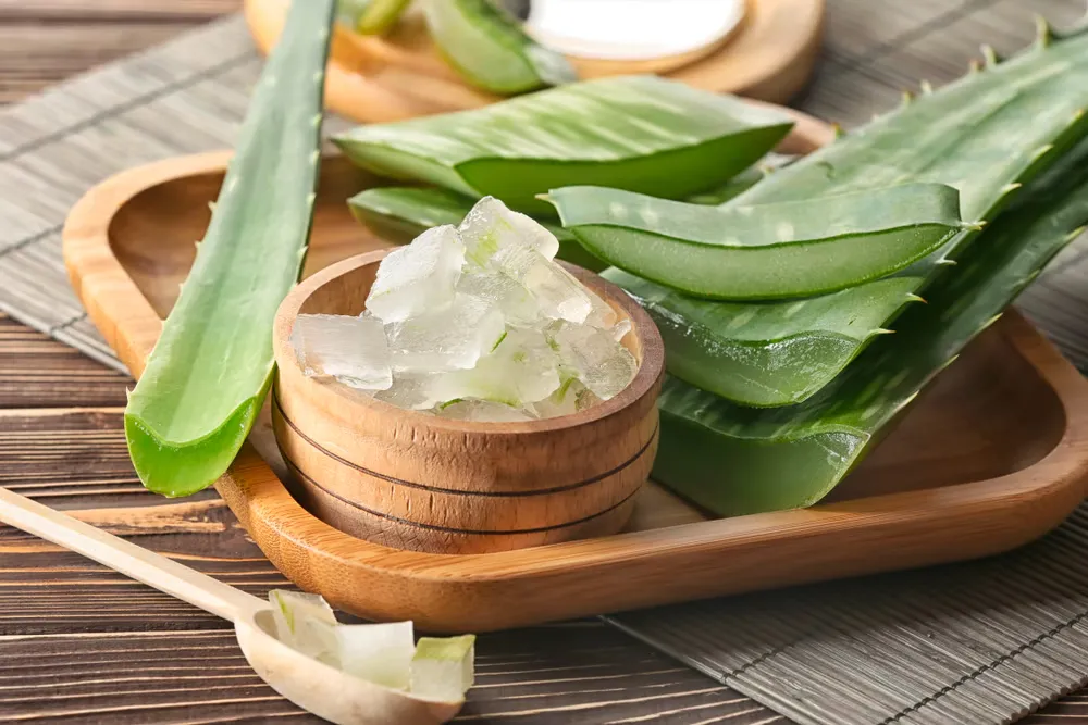 Cara Pakai Lidah Buaya untuk Rambut: Urutan dan Tips Maksimal