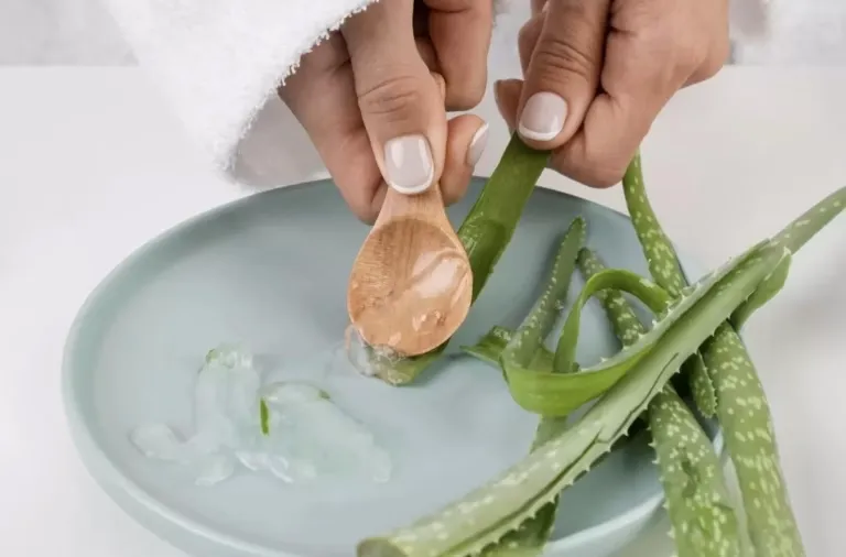 5 Cara Mudah Membuat Masker Lidah Buaya untuk Kulit Lembap dan Bebas Iritasi