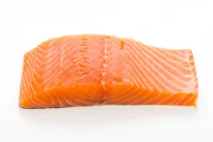 Ikan Salmon