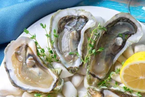 Oysters