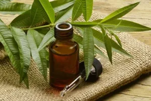 Minyak Pohon Teh (Tea Tree Oil)