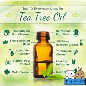 Minyak Pohon Teh (Tea Tree Oil)