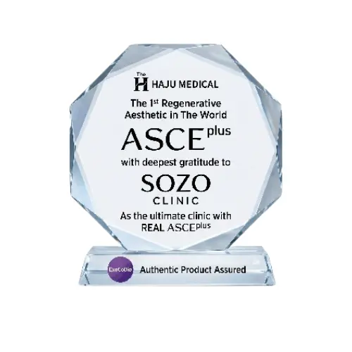 ASCE Plus Logo Official
