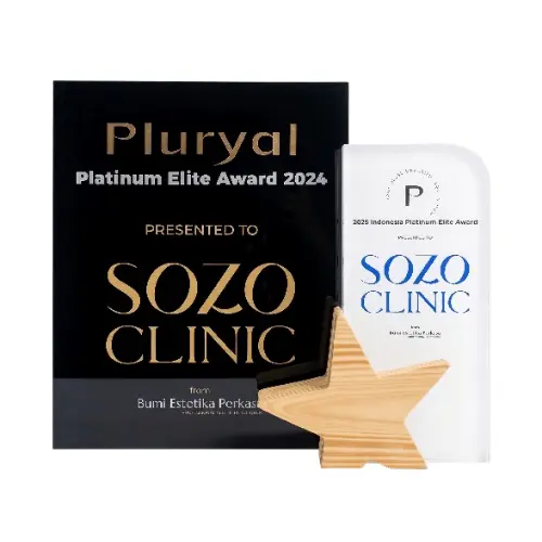 Pluryal Logo Official