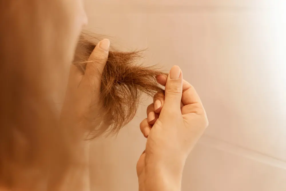 rambut kering