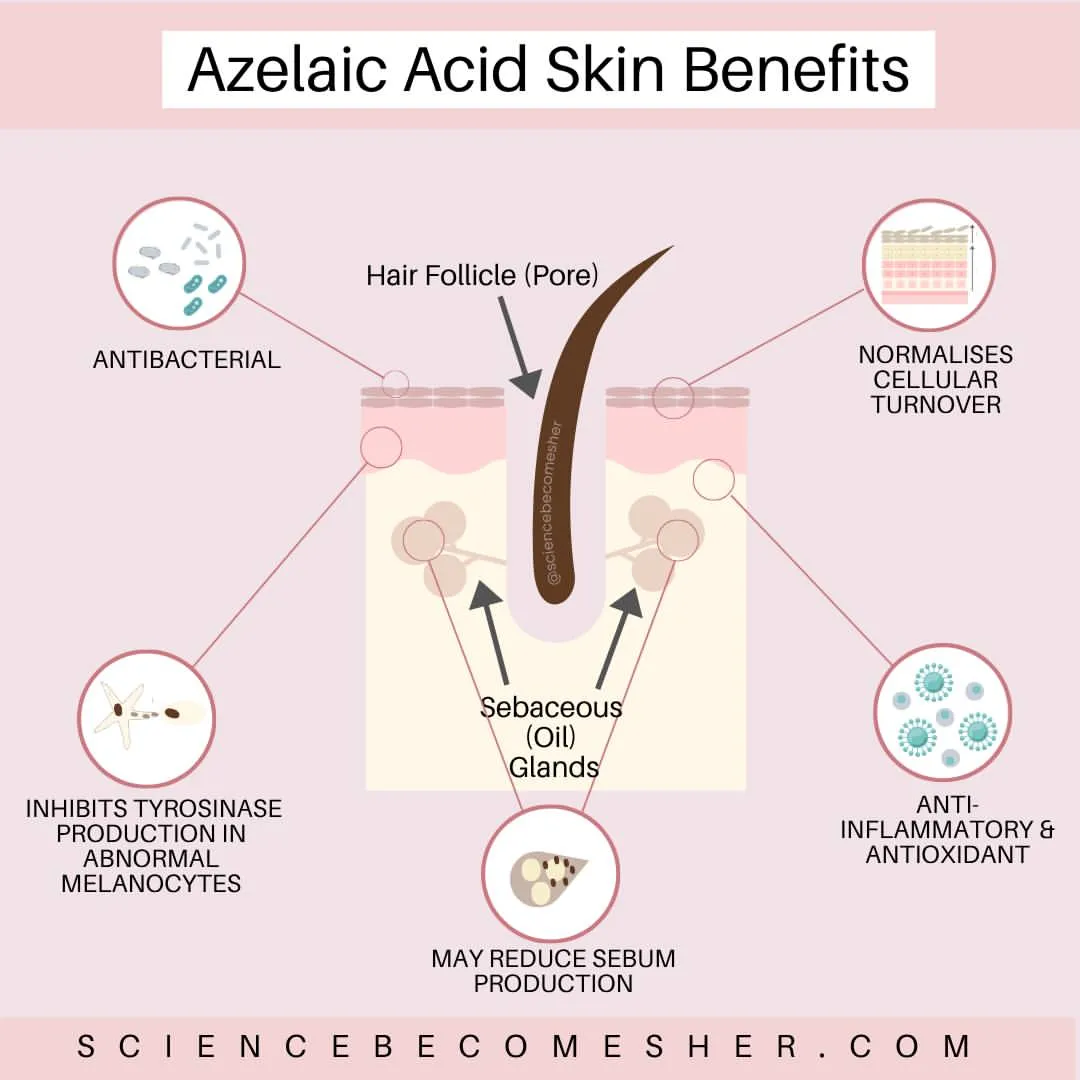 Cara Kerja Azelaic Acid