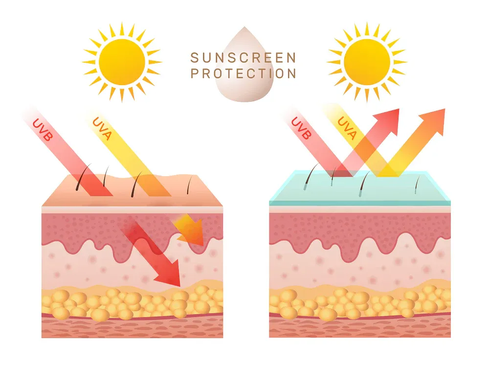Ilustrasi Perlindungan Sunscreen terhadap Sinar UV