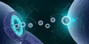Ilustrasi Exosome
