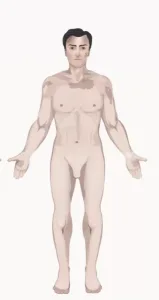 Vitiligo Universal