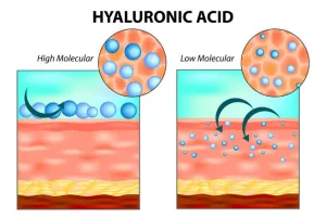 Cara Kerja Hyaluronic Acid