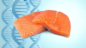 Ilustrasi Salmon DNA